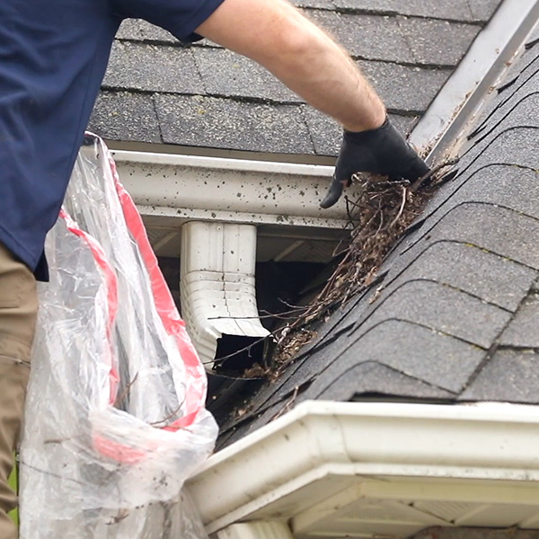 professional in blue shirt cleaning debris from gutter and roof of home