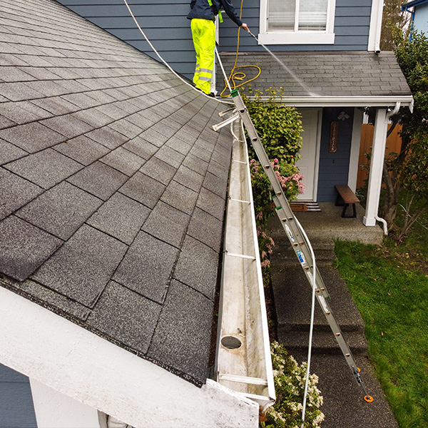 professional cleaning roof of blue home