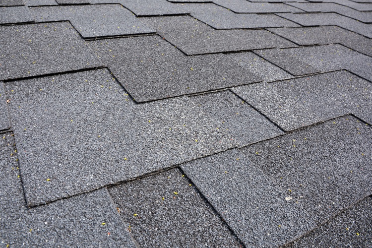 Asphalt Shingle Roofs