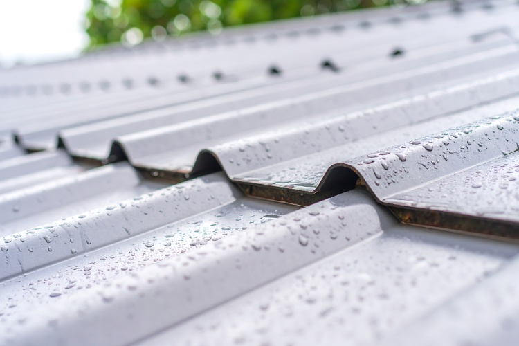 Shingle and Metal Roofs